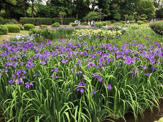 Shirokita Park